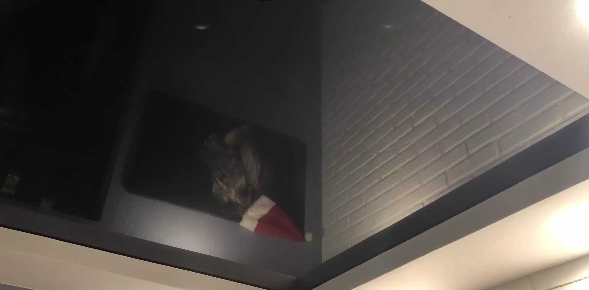 Пермь, Героев Хасана, 26, фото 3