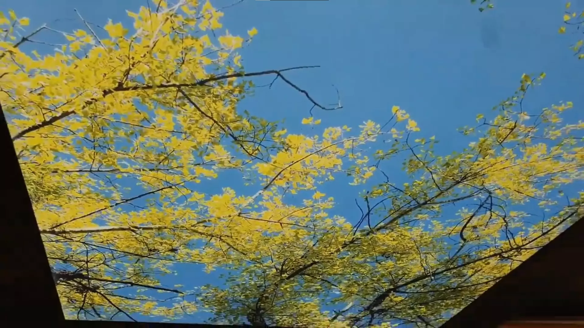 Новочебоксарск, , фото 2