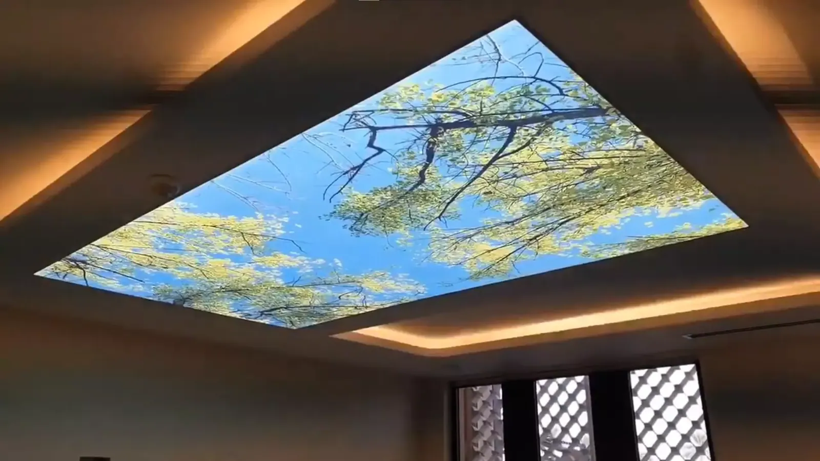 3D натяжной потолок — Балашиха, Юбилейная, 2 к2, фото 1